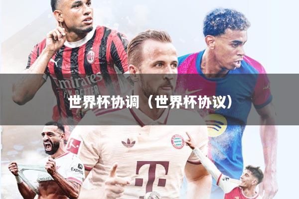 世界杯协调(世界杯协议)